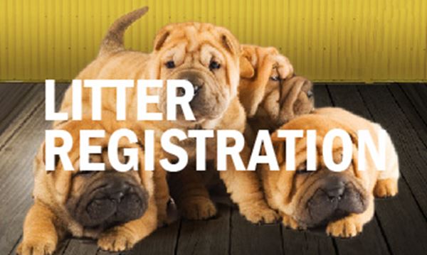 Registration Services Continental Kennel Club CKC