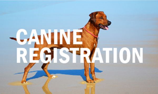 Registration Services Continental Kennel Club Ckc