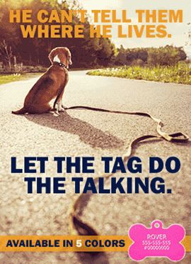 side-bar-ad-for-microchips-and-dog-tags-v3.gif