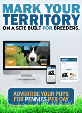 Advertise-Your-Puppies-Sidebar.gif