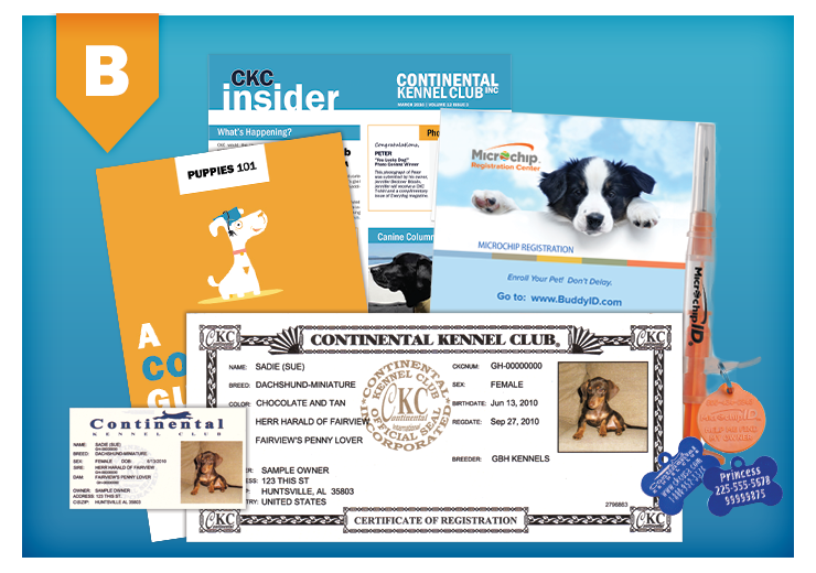 continental kennel club puppy registration