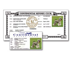 continental kennel club puppy registration