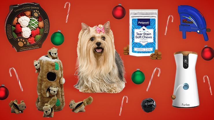 12-Must-Mave-Dog-Gifts-for-Christmas-2016.jpg (1)