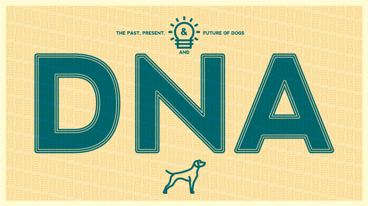 Ckc 2024 dna test