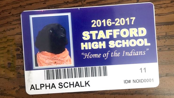 Service-Dog-Gets-a-Spot-in-the-School-Yearbook-preview.jpg