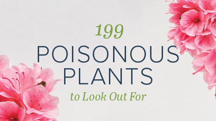 Watch-Out-for-These-199-Poisonous-Plants!.jpg