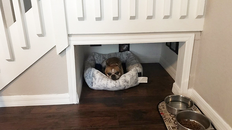 Dog homes hotsell under the stairs