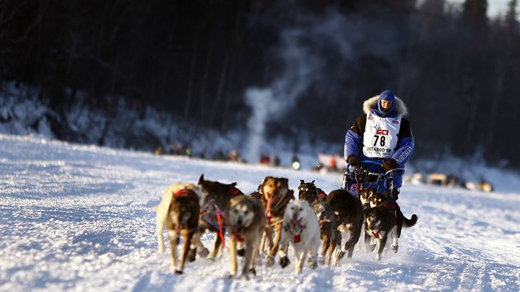 10-Interesting-Facts-about-the-Iditarod-Preview.jpg