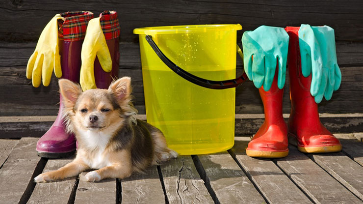 Pet safe cleaning best sale products