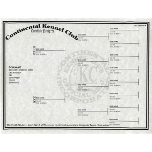 Continental kennel sale club puppy registration