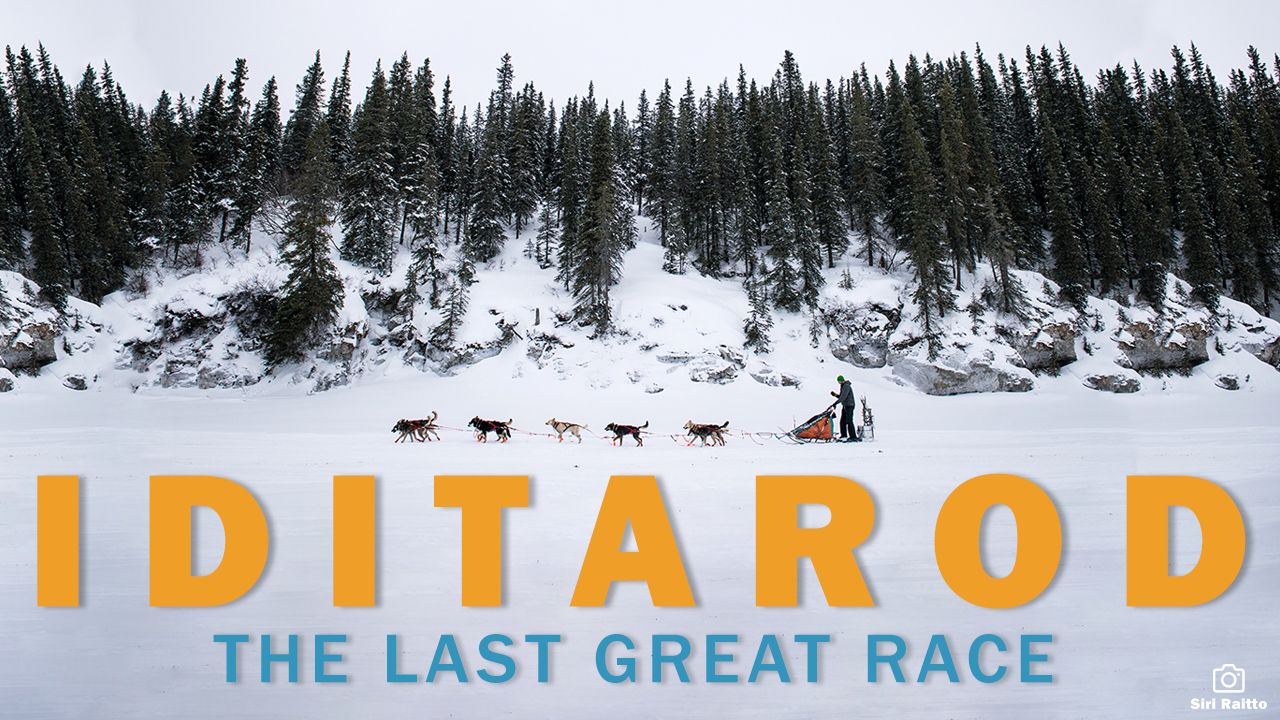 Iditarod 2025 Tickets Naar