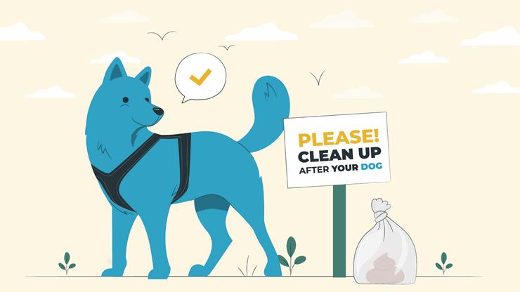 Proper Methods To Dispose Of Dog Poop The Green Way