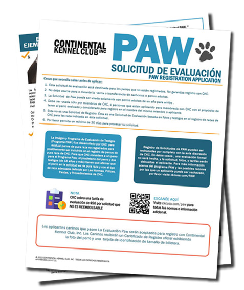 PAW Registration Application 2021 Spanish Web Image
