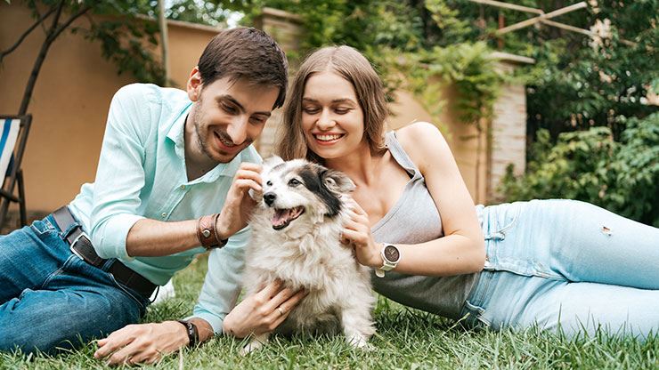 5 Ways To Make Your Yard A Dog Friendly Paradise