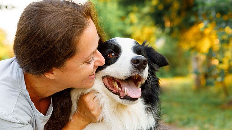 Changes To Expect As Your Dog Gets Older