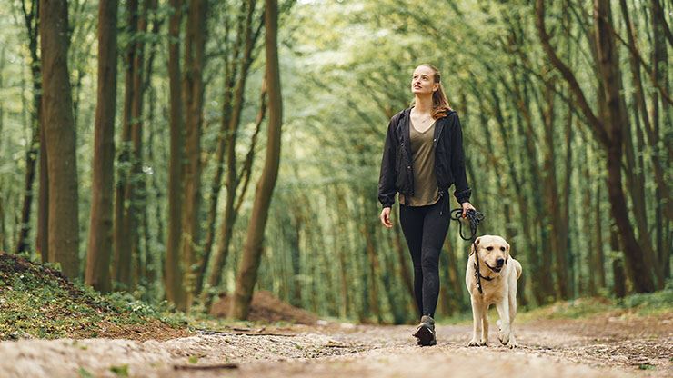 8 Ways To Get The Most Out Of Walk Your Dog Month 2023