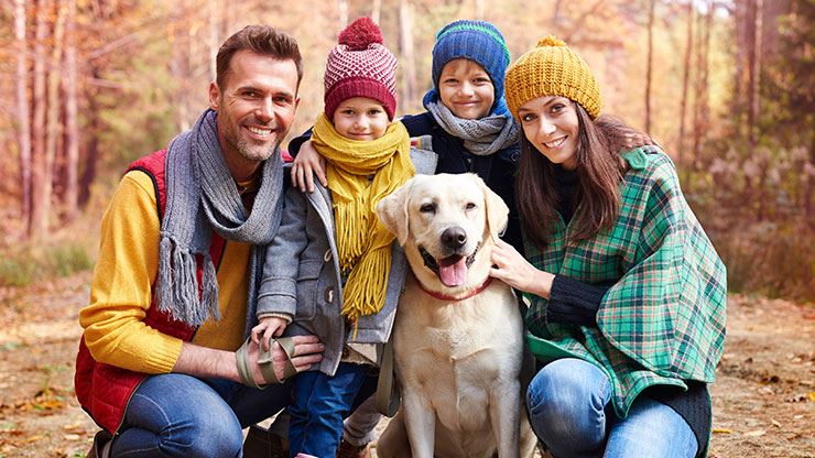 Great Dog Breeds For Family Homes