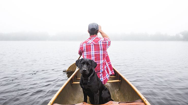 5 Tips For A Safe And Fun Kayaking Trip With Your Dog