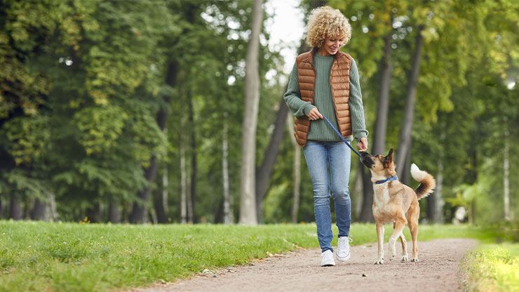 5 Ideas To Tire Your Dog Out