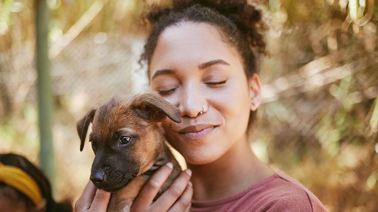 How To Choose The Right Dog For Your Lifestyle