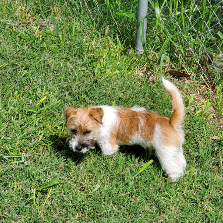 Ricky outside.jpg