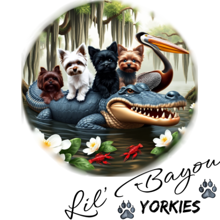 Untitled design (11).png