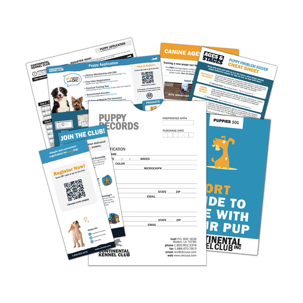 Puppy Starter Kit
