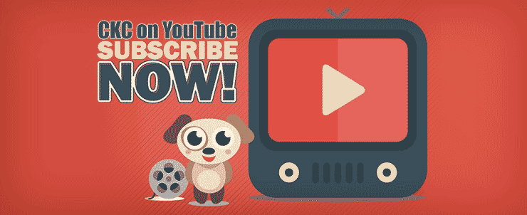 Subscribe on YouTube!