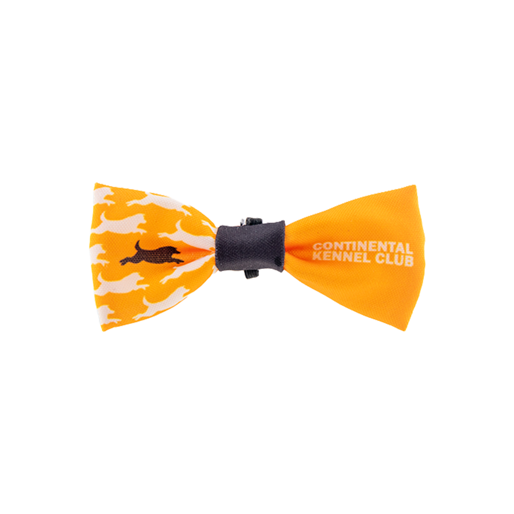 Ckc Bowtie