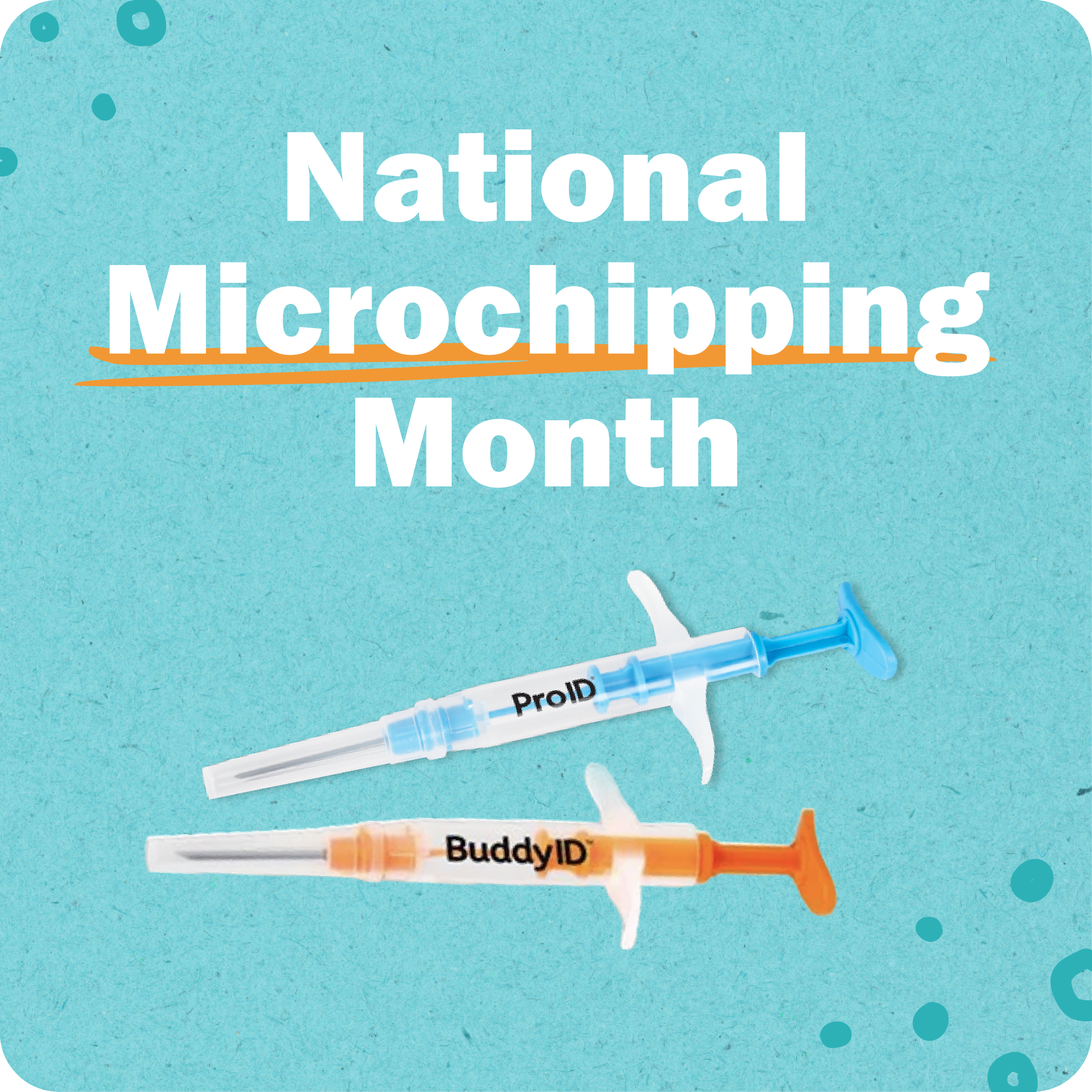 June Microchip Gif