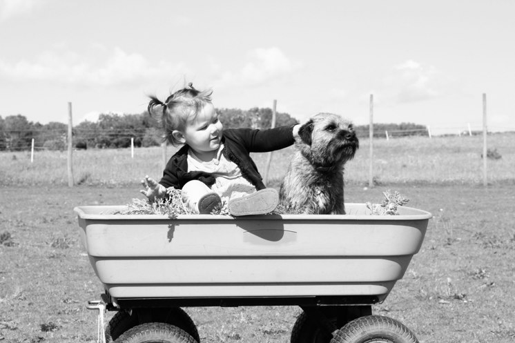how to train your dog to be kid friendly