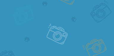 Photo Banner