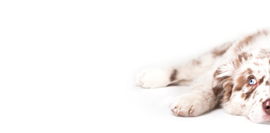 Blog Header