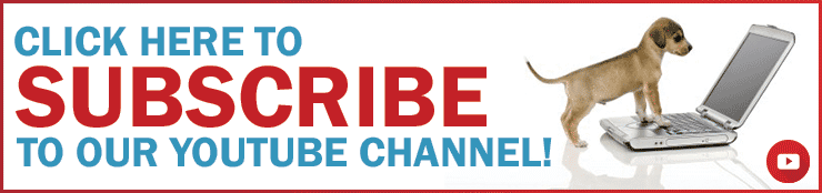 Subscribe on YouTube!