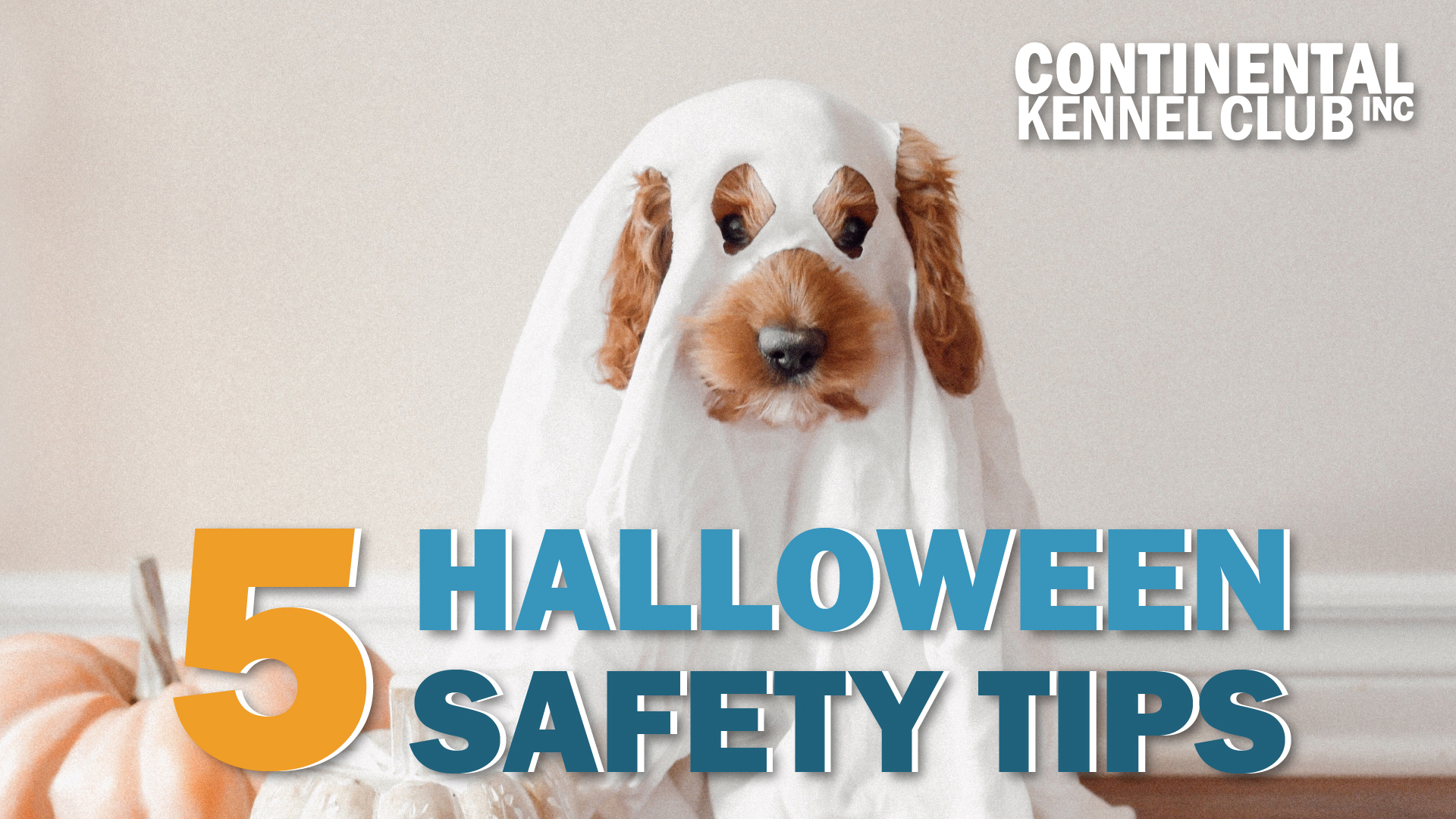 5-halloween-safety-tips-thumbnail.jpg