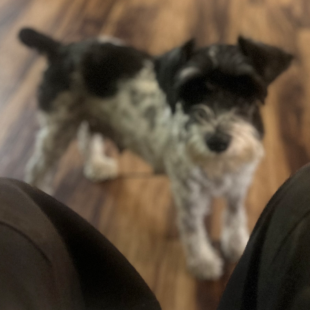 IMG_0397.jpeg