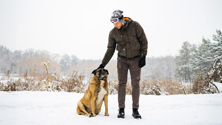 caring-for-your-senior-dog-in-cold-weather.jpg