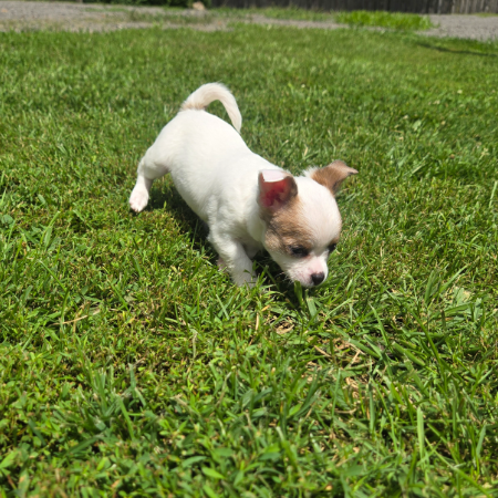 20260723_145119.jpg