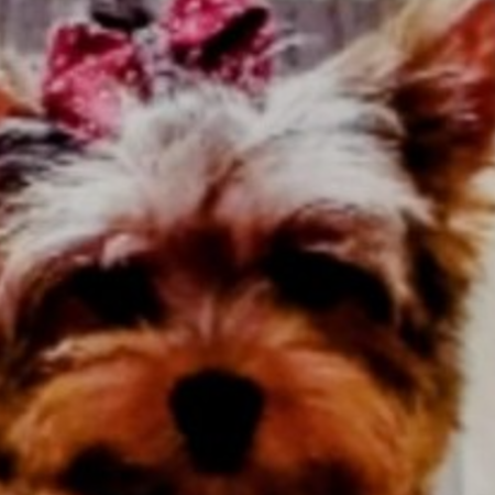 Screenshot_20260528-213602~2.png