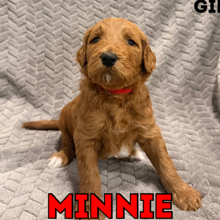 Untitled (Facebook Post) - 5.png (1)