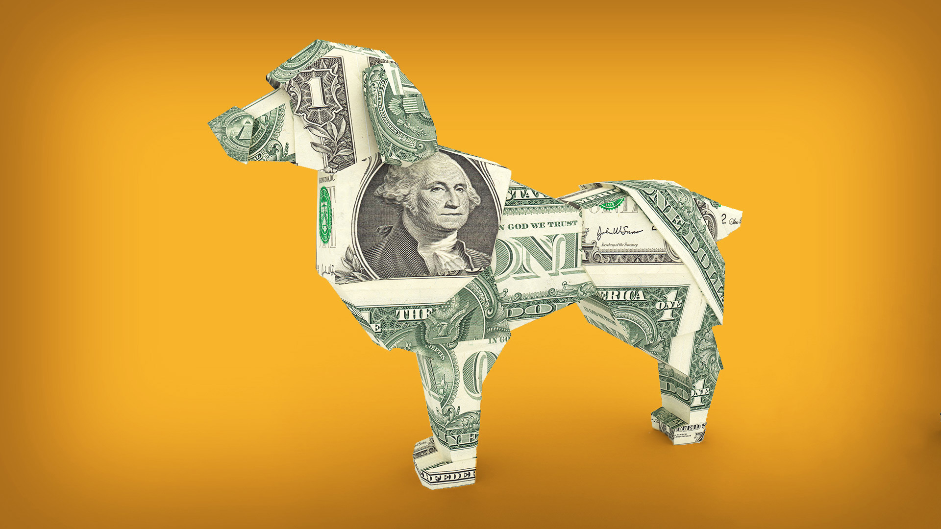 can-afford-a-new-dog.jpg
