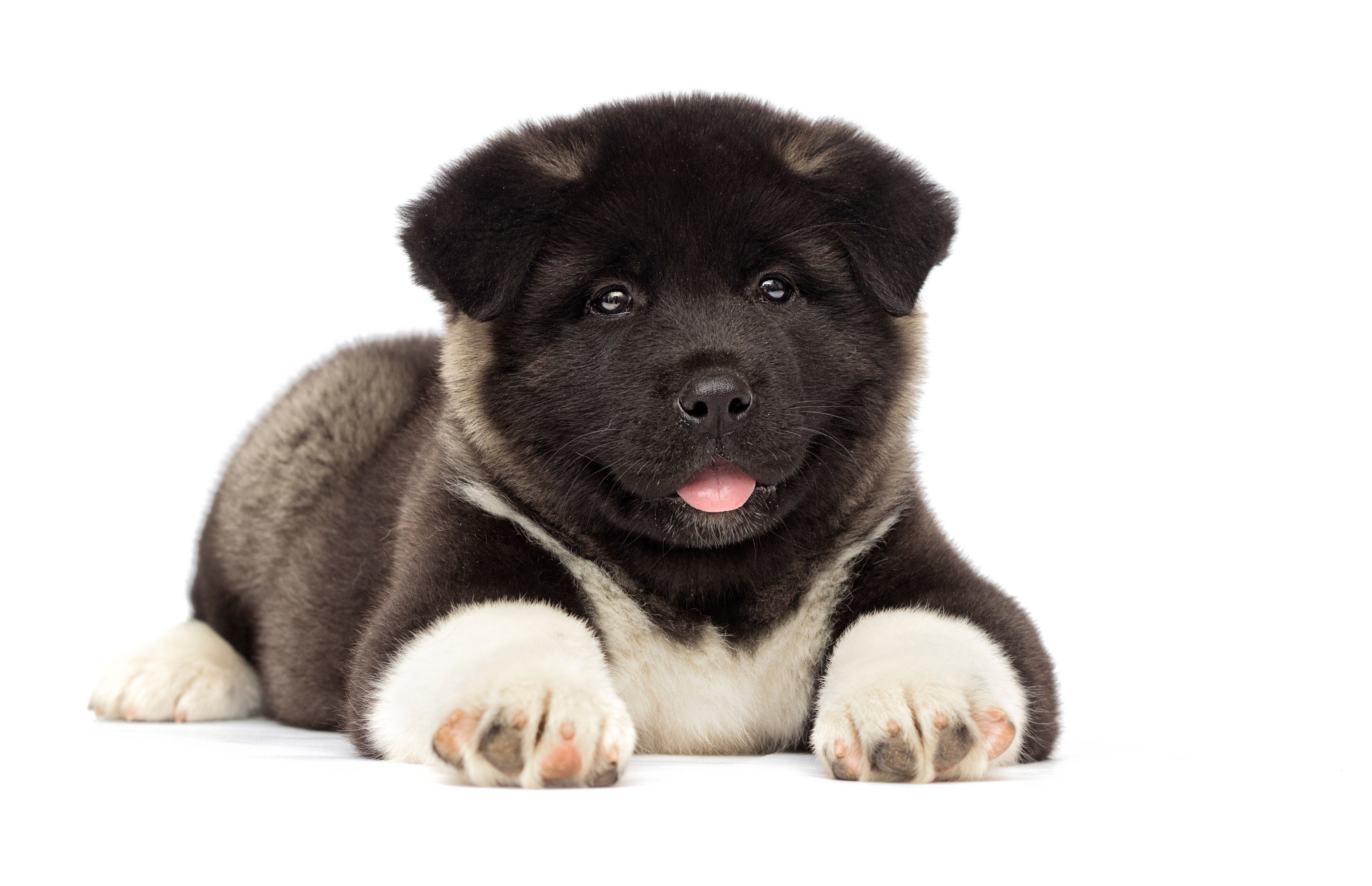 Adobestock 259194286