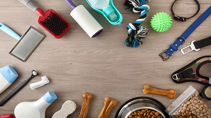 dog-accessories-and-their-impact.jpg