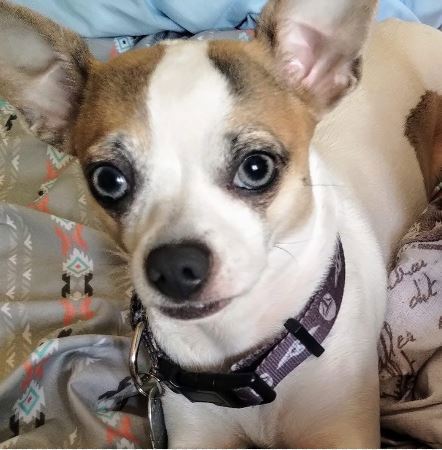 acd.JPG