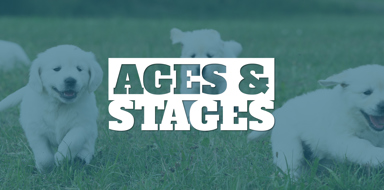 Ages & Stages
