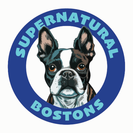 SuperNatural Logo Blue 1 low res.jpg (1)