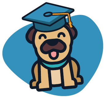 Dog With Cap