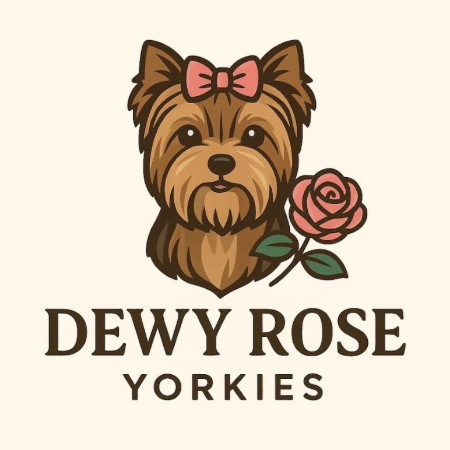 logo.jpg (1)