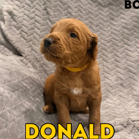 Untitled (Facebook Post) - 6.png (1)