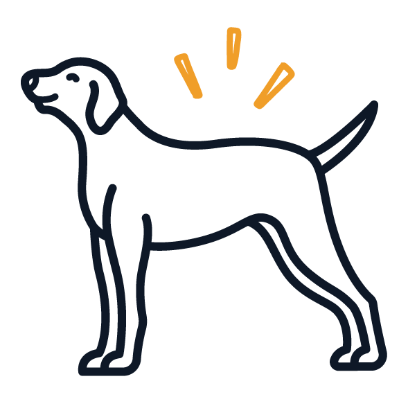 Dog Registration (1)